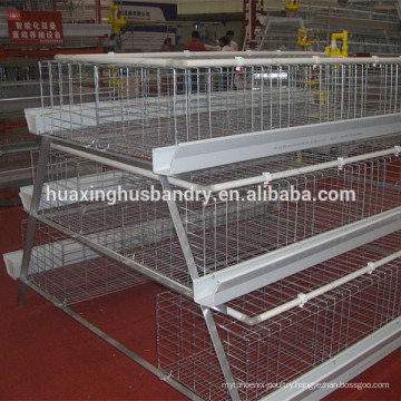 top quality special Algeria chicken farm batterie pour poule pondeuse